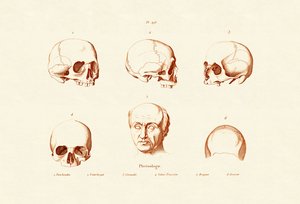 Frenología, 1833-39 de French School